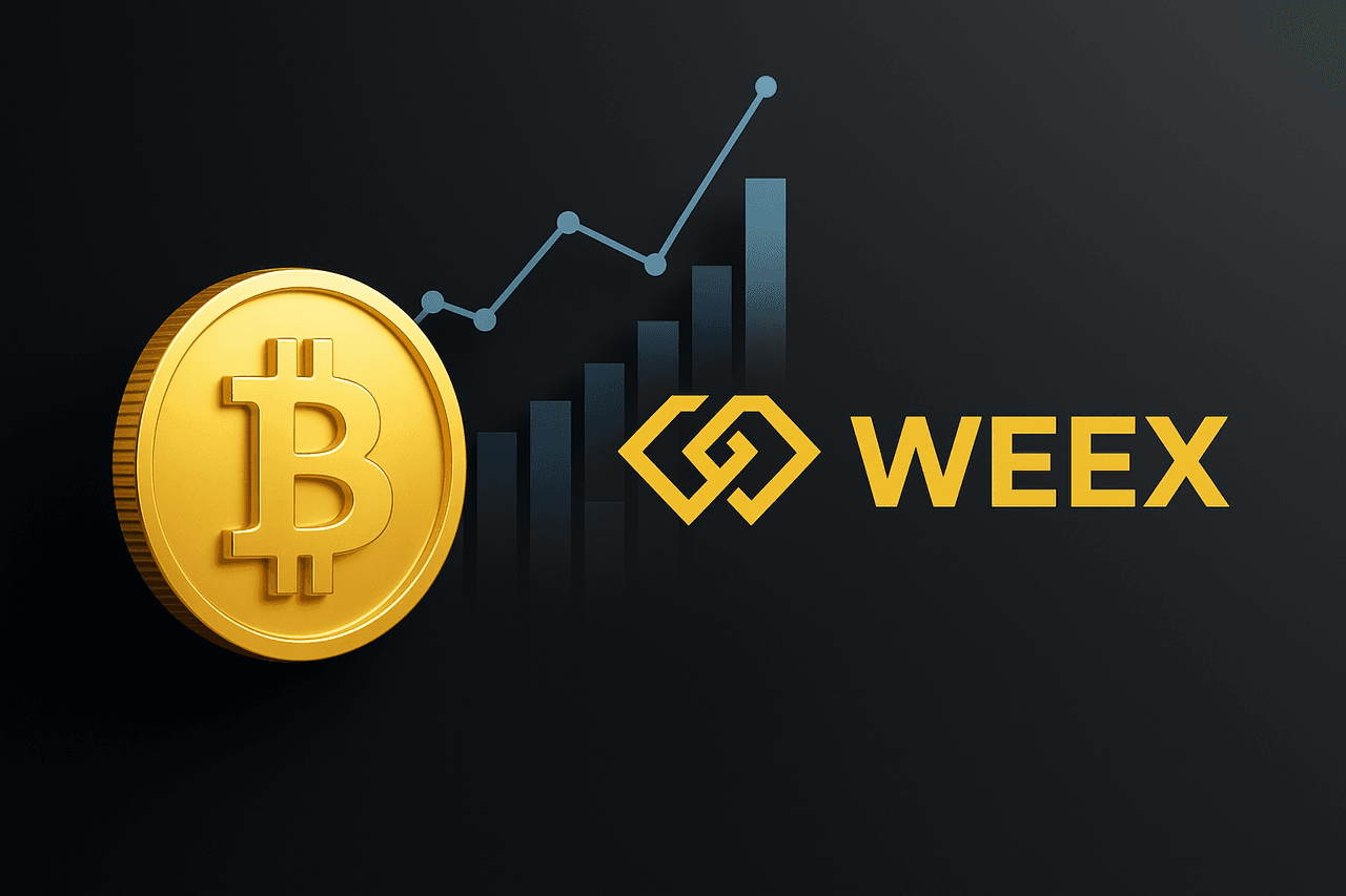 راهنمای جامع استفاده از شاخص سلطه بیت کوین (Bitcoin Dominance) برای معاملات هوشمند در WEEX